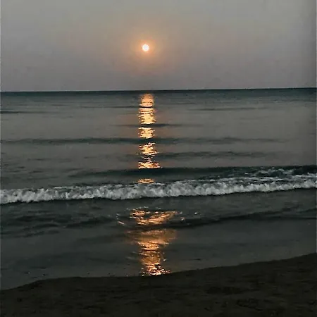 דירה Chadi